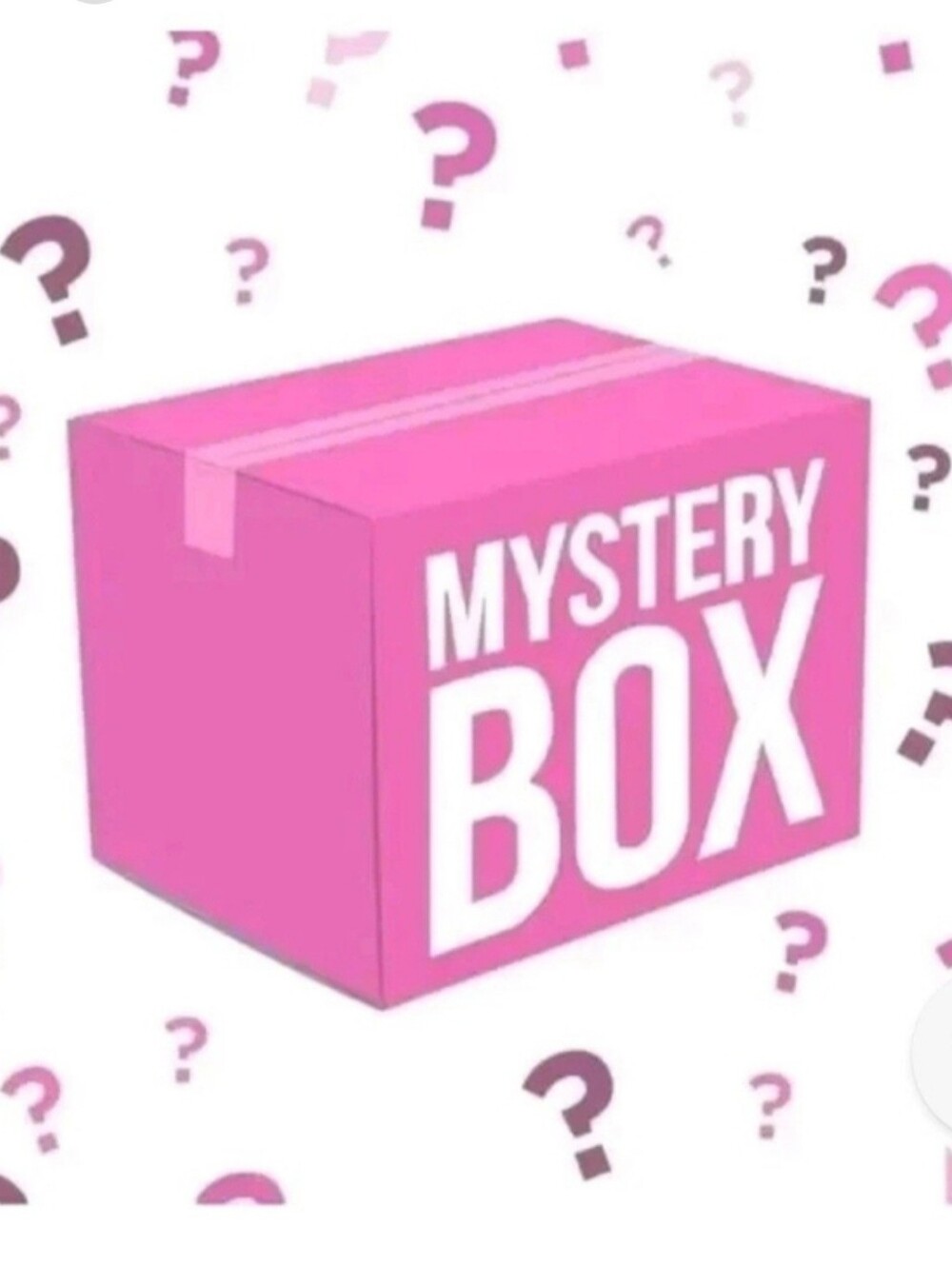 Women's Size Large Mystery Bundle